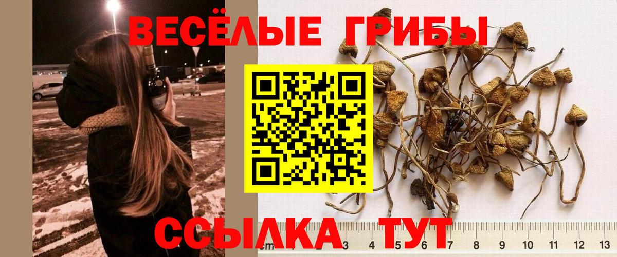 Галлюциногенные грибы прущие грибы  как найти закладки  Городец  Псилоцибиновые грибы прущие грибы  Вход с VPN 